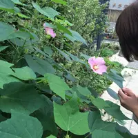 お富ちゃん広場の写真・動画_image_43978