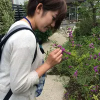 お富ちゃん広場の写真・動画_image_43979