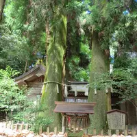 高千穂神社の写真・動画_image_4400