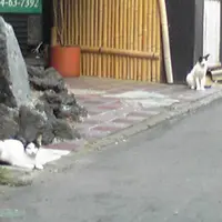 富岡製糸場の写真・動画_image_44013