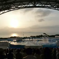 沖縄美ら海水族館の写真・動画_image_4425