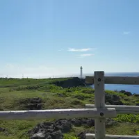 残波岬の写真・動画_image_442590
