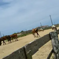 体験王国むら咲むらの写真・動画_image_442617