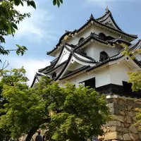 彦根城の写真・動画_image_4438