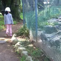 桐生が岡動物園の写真・動画_image_44721