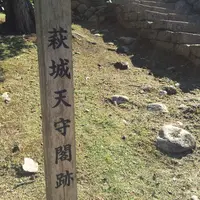 萩城跡指月公園の写真・動画_image_44794