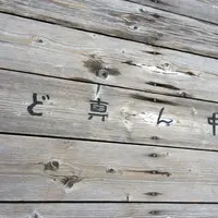 蓬莱橋の写真・動画_image_44816