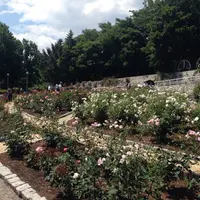 花博記念公園鶴見緑地の写真・動画_image_44885