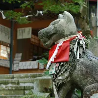 谷汲山　華厳寺の写真・動画_image_4509