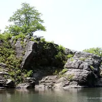 長瀞ライン下りの写真・動画_image_45194