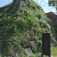 福岡城跡の写真・動画_image_45808