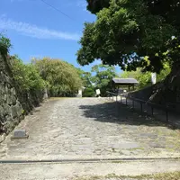 福岡城跡の写真・動画_image_45811