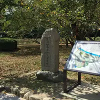 大濠公園の写真・動画_image_45814