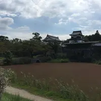 福岡城跡の写真・動画_image_45817