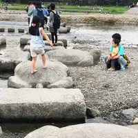 鴨川デルタの写真・動画_image_45841