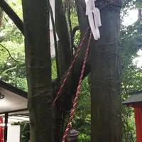 下鴨神社（賀茂御祖神社）の写真・動画_image_45843