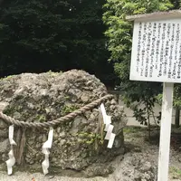 下鴨神社（賀茂御祖神社）の写真・動画_image_45956