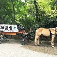 下鴨神社（賀茂御祖神社）の写真・動画_image_45957