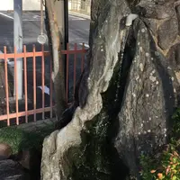 島原城の写真・動画_image_46001