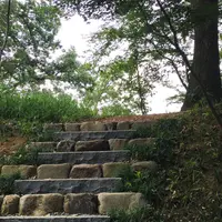 武田神社の写真・動画_image_46051
