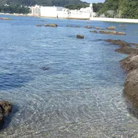 天神島臨海自然教育園の写真・動画_image_46134