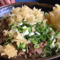 手打十段うどん バカ一代の写真・動画_image_46202