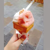 ジェノバの写真・動画_image_46239