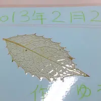かわさき宙と緑の科学館の写真・動画_image_4638