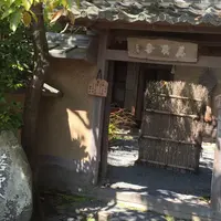 嵐山 竹林の小径の写真・動画_image_46537