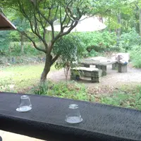 KINONの写真・動画_image_46693