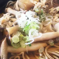 七福の写真・動画_image_46699