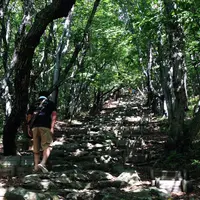 赤神神社五社堂の写真・動画_image_46759