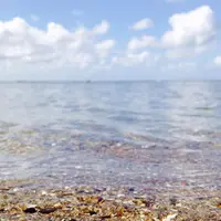 男鹿半島の写真・動画_image_46763
