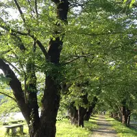 角館の写真・動画_image_46773