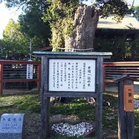 水田天満宮（恋木神社）の写真・動画_image_46804