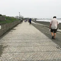 県立湘南海岸公園西部駐車場の写真・動画_image_46965