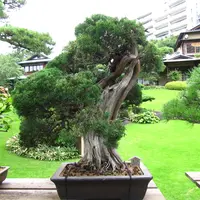 八芳園の写真・動画_image_4699