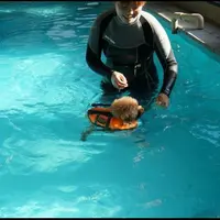 ＤｏｇＰｅｔｉｔＲｅｓｏｒｔＪＯＫＥＲ綱吉の湯の写真・動画_image_47278