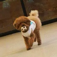 brownの写真・動画_image_47281