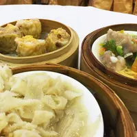 Golden Unicornの写真・動画_image_47379