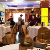 Golden Unicornの写真・動画_image_47380