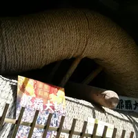 琉球村の写真・動画_image_474453
