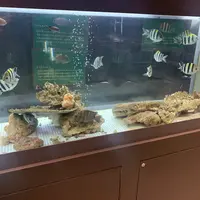 むろと廃校水族館の写真・動画_image_474564