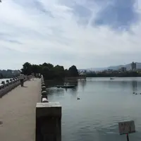 大濠公園の写真・動画_image_47470