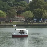 レンタルボートの写真・動画_image_47476