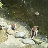ウォーキングアベニューの写真・動画_image_475673