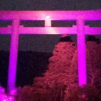 熊野本宮大社旧社地大斎原の写真・動画_image_47684