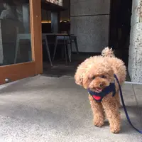 MONZ CAFEの写真・動画_image_47717