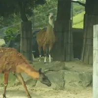 姫路セントラルパークの写真・動画_image_478315