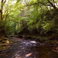 マゼノ渓谷の写真・動画_image_48130